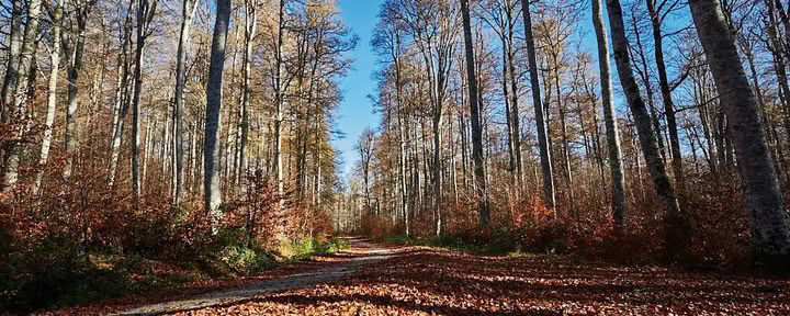 Meditaatio- ja joogaretriitti: kodikas marraskuun irtiotto