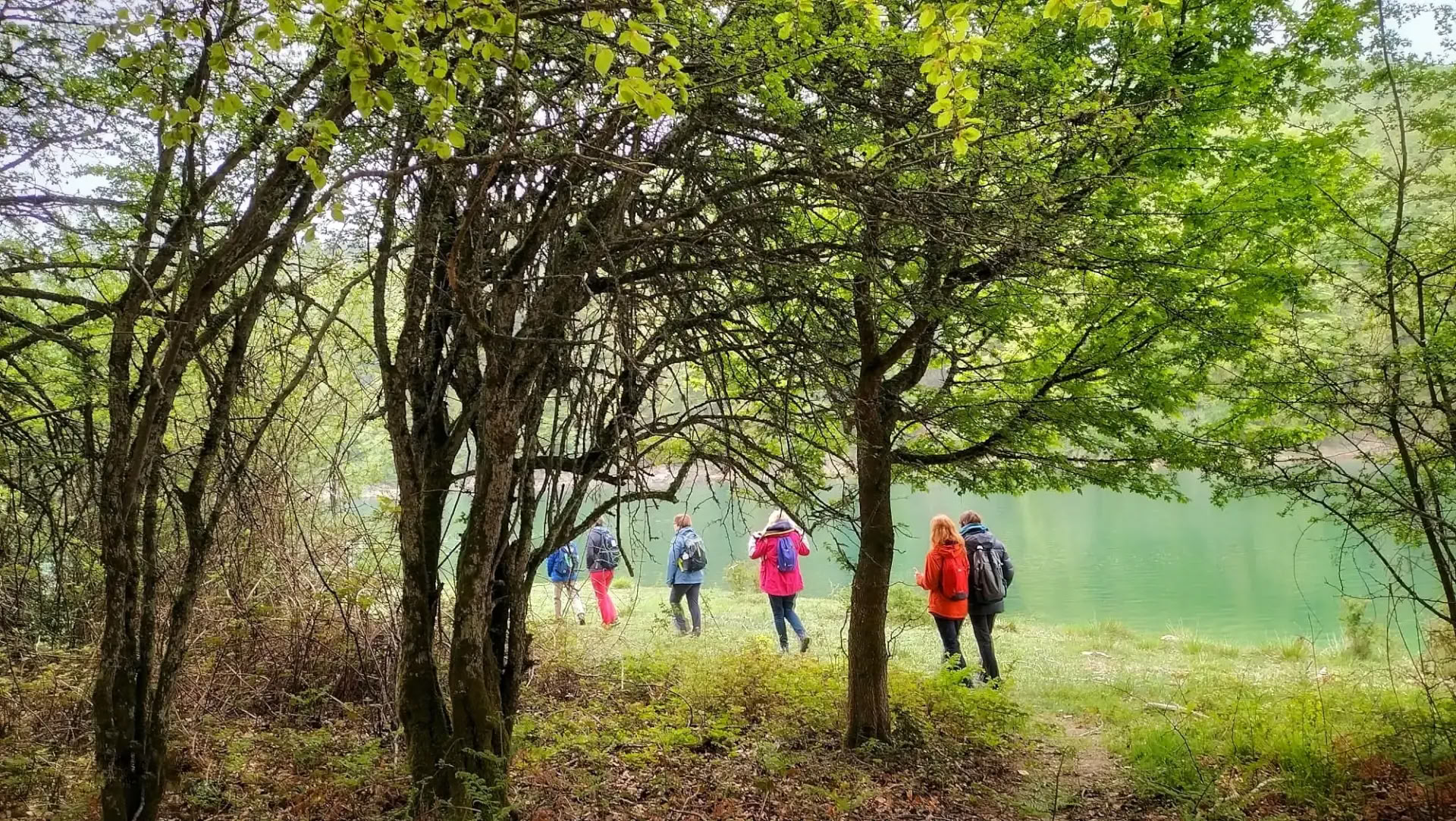 Metsäkylpy (shinrin yoku) ja joogaretriitti