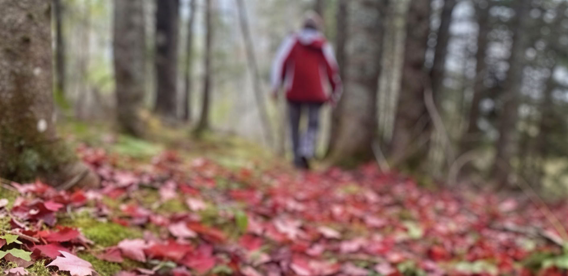 Uudista keskittymisesi: tietoinen valokuvausretriitti