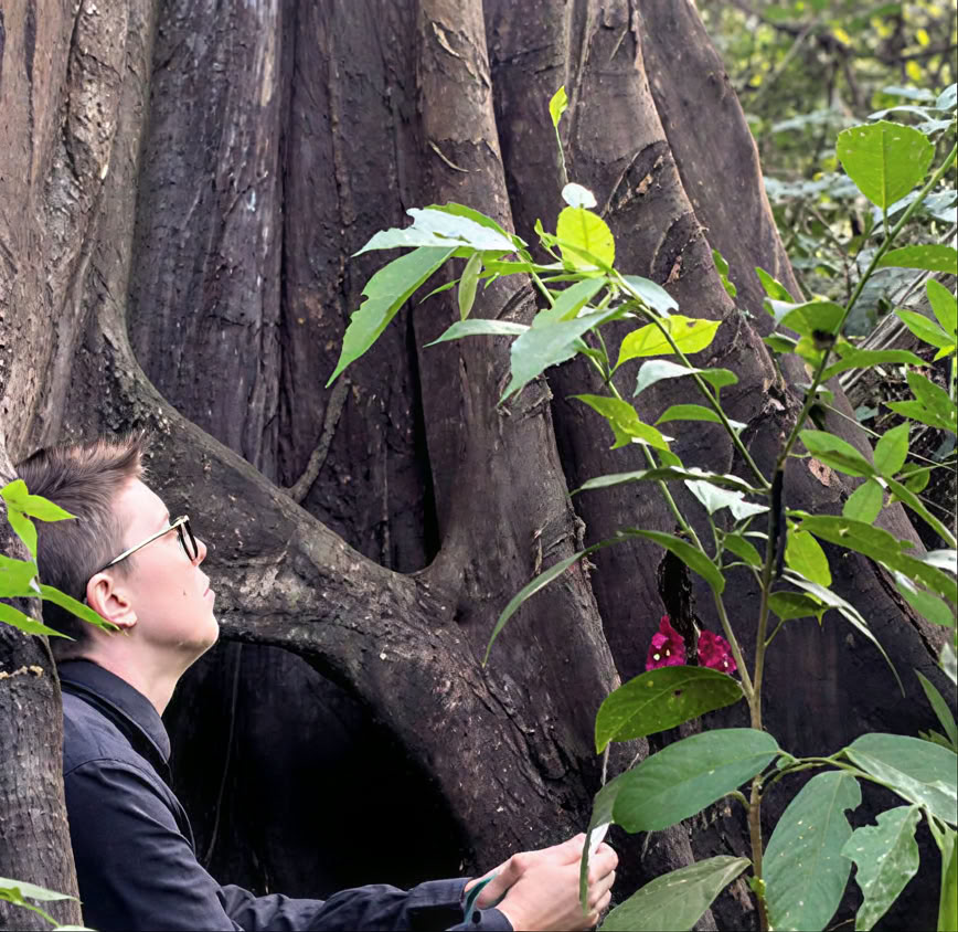 5 päivän johdanto ayahuascaan ja Amazonin kasvilääkintään