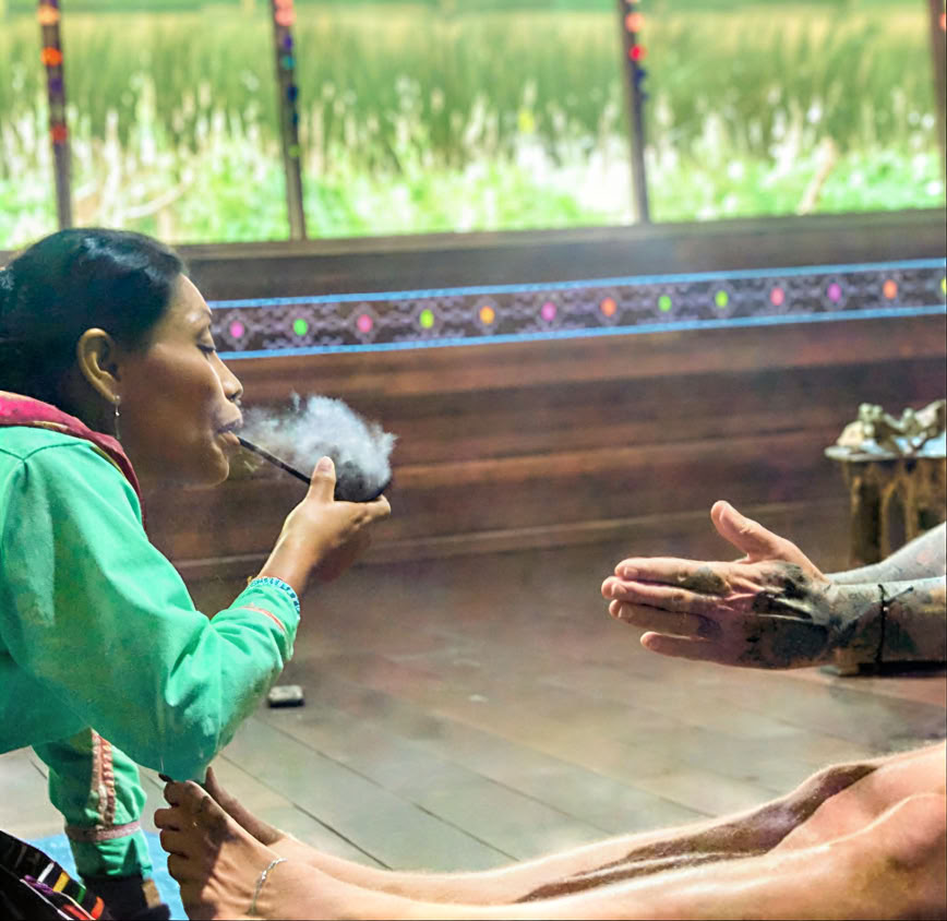 5 päivän johdanto ayahuascaan ja Amazonin kasvilääkintään