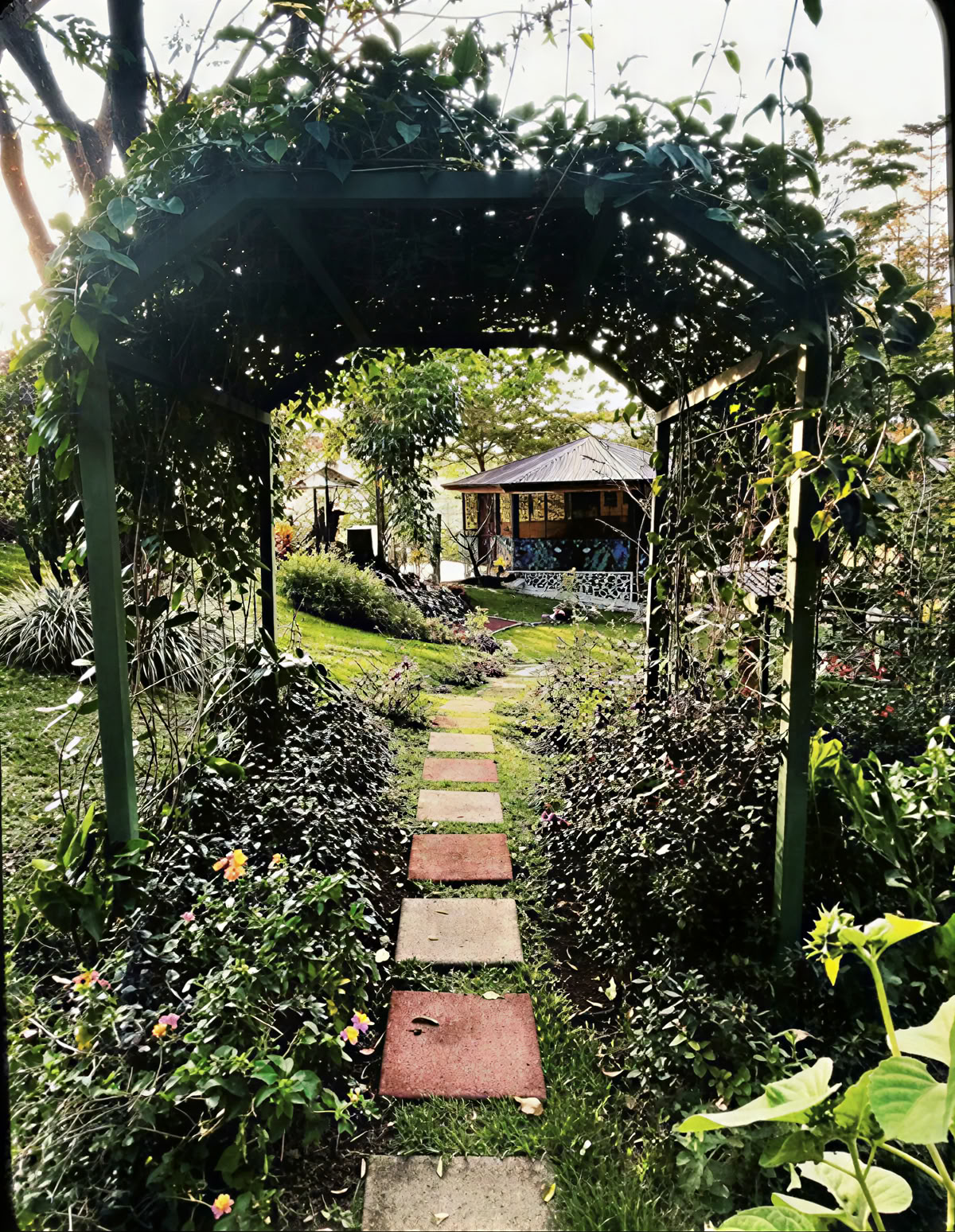 Sapo ja NuNu Detox