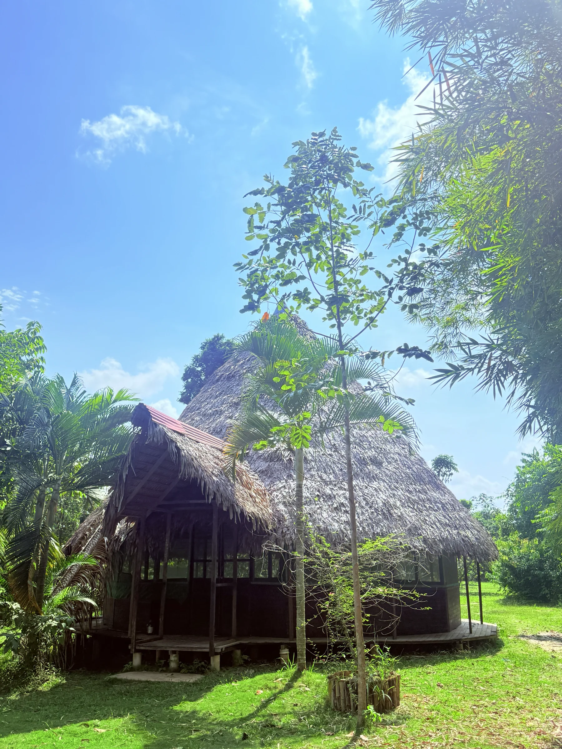 1 viikon ayahuascamuutos