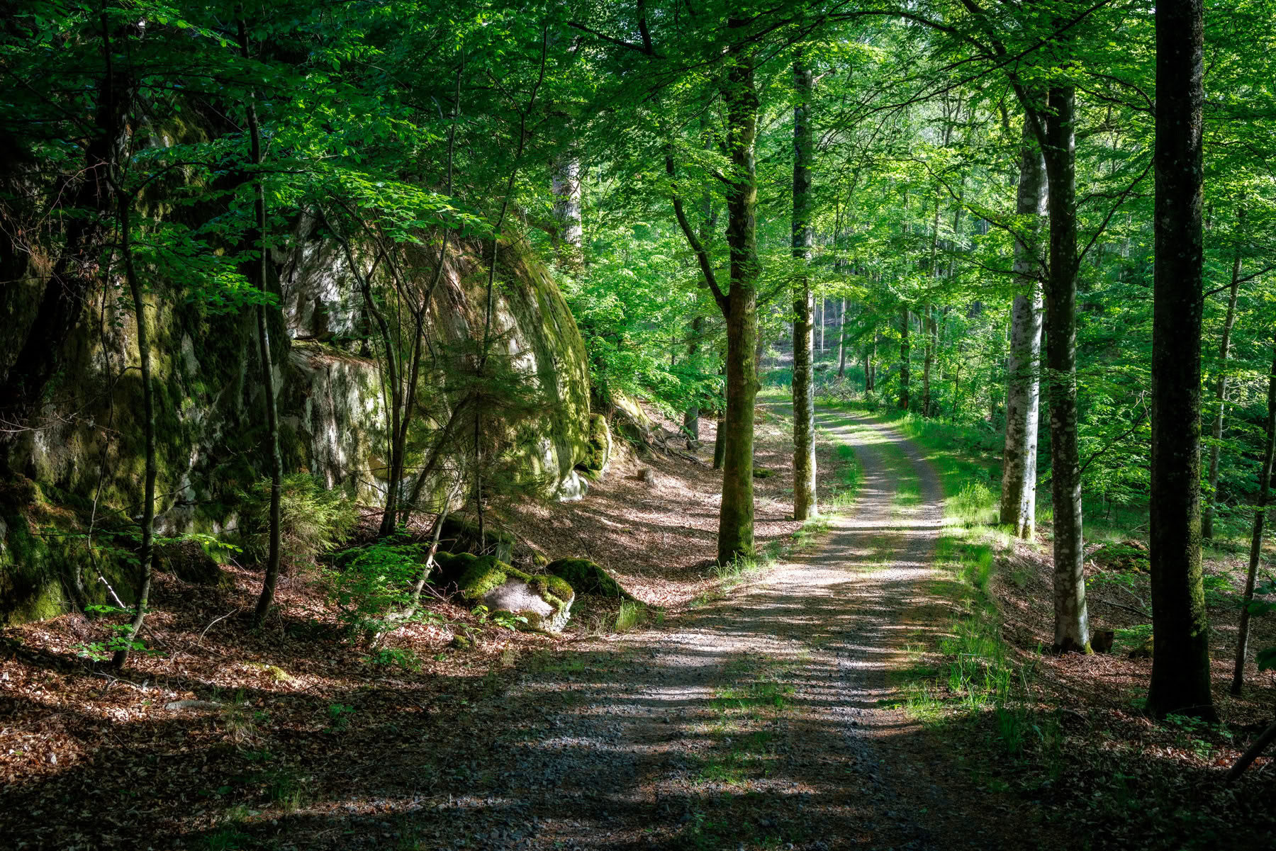 Yksinvetäytyminen, peruskurssi