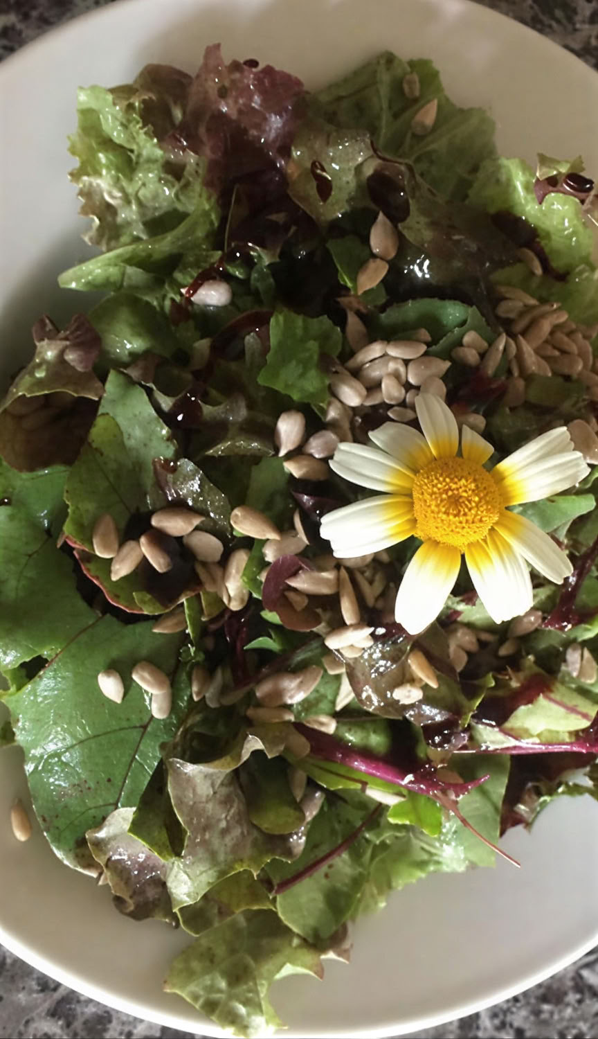 7 päivän ayurveda- ja joogaelvyttävä luontoretriitti