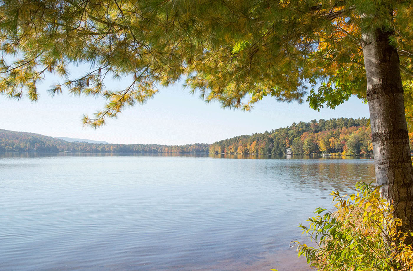 Tietoinen ulko-opas -sertifiointi, taso 1 Metsäyhteisö