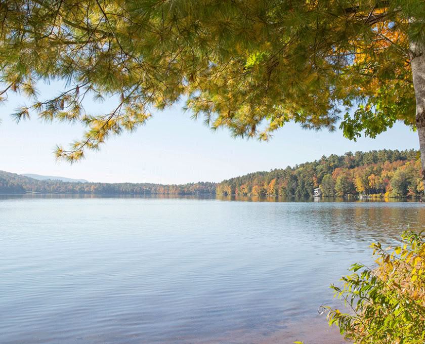 Tietoinen ulko-opas -sertifiointi, taso 1 Metsäyhteisö