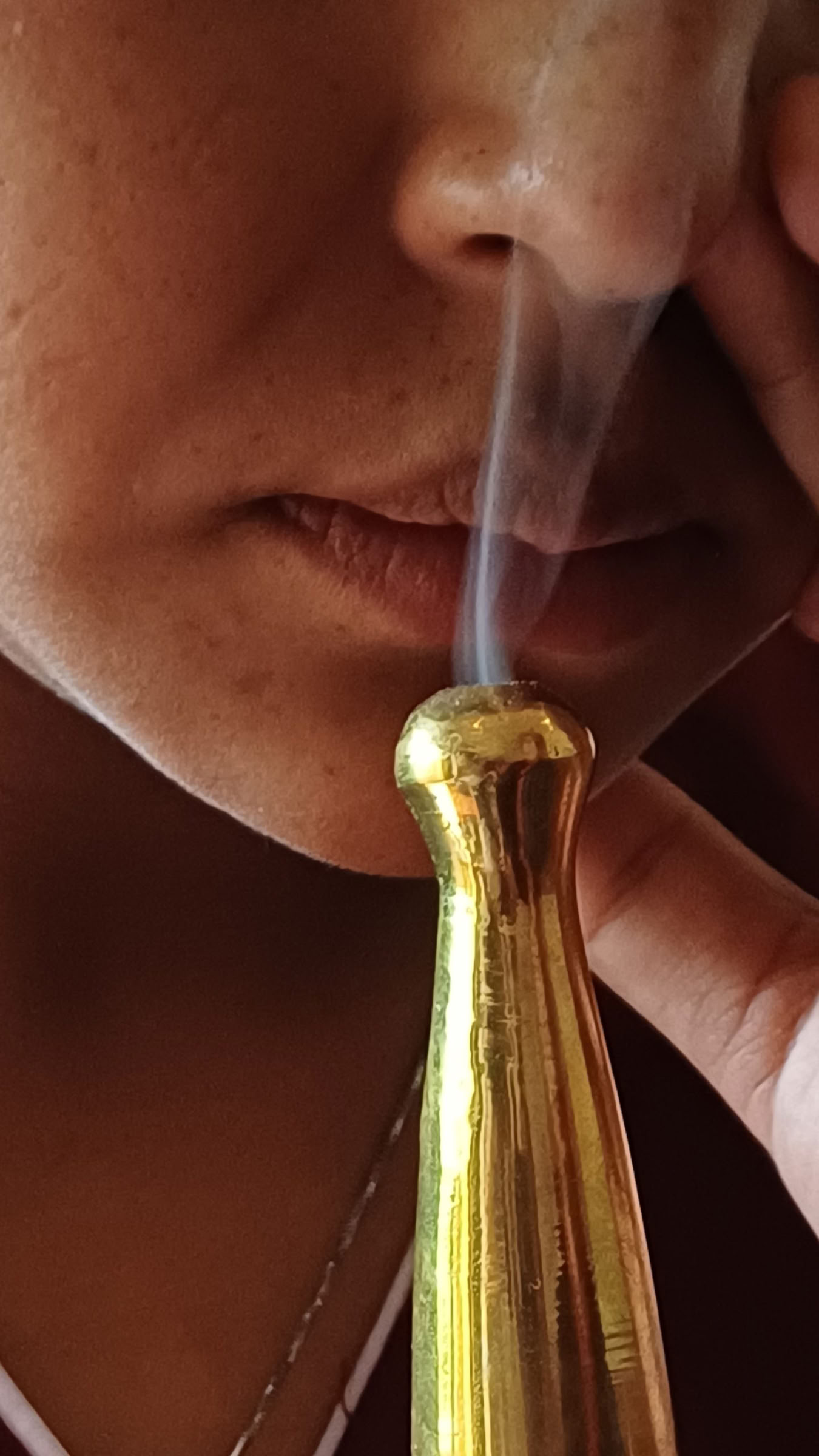 13 yötä 14 päivää शोधन-detox-panchakarma-retriitti