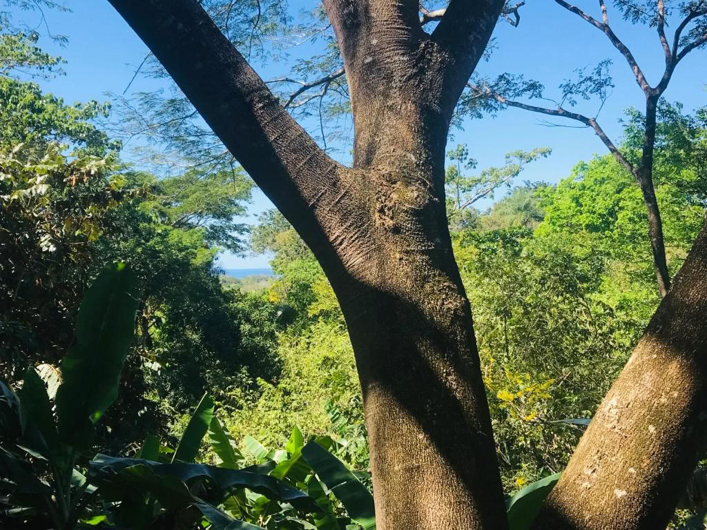 Rentoudu, nollaa ja palaudu Costa Ricassa