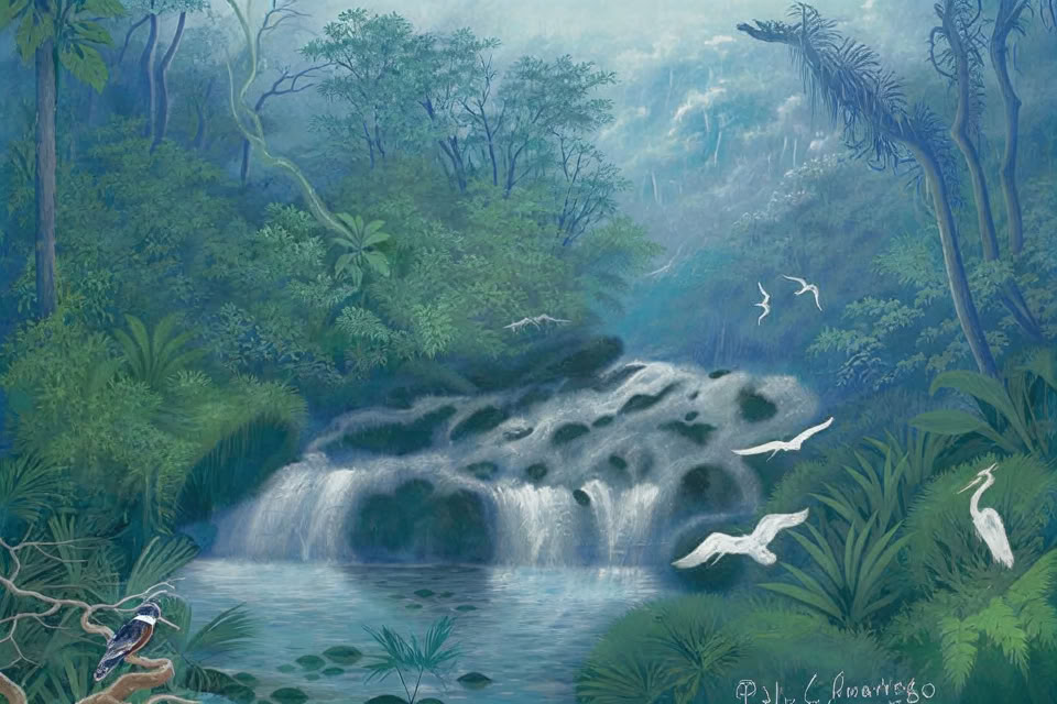 24.–31. tammikuuta 2027 Ocean Forest Ecolodgessa