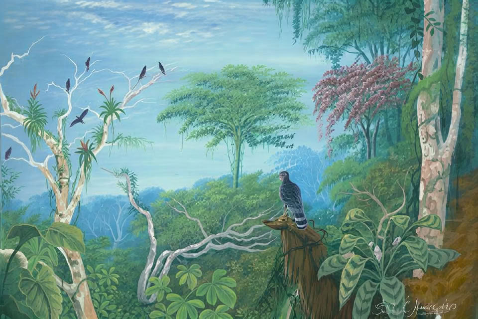 2.–7. helmikuuta 2027 | Costa Rican Cocoterran sademetsäleirintäkokemus