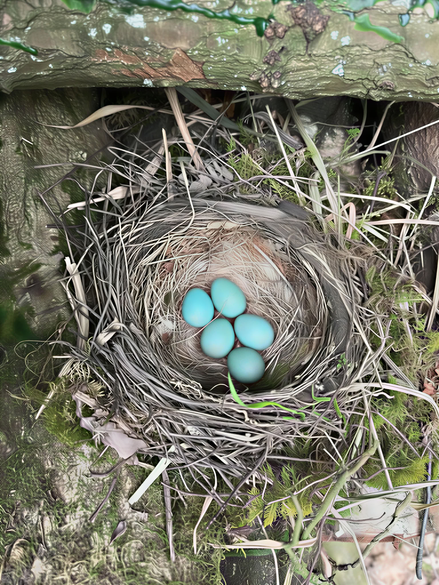 Villivartijat 42 Acresissa