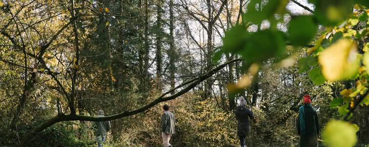 Metsäaarteenetsintä