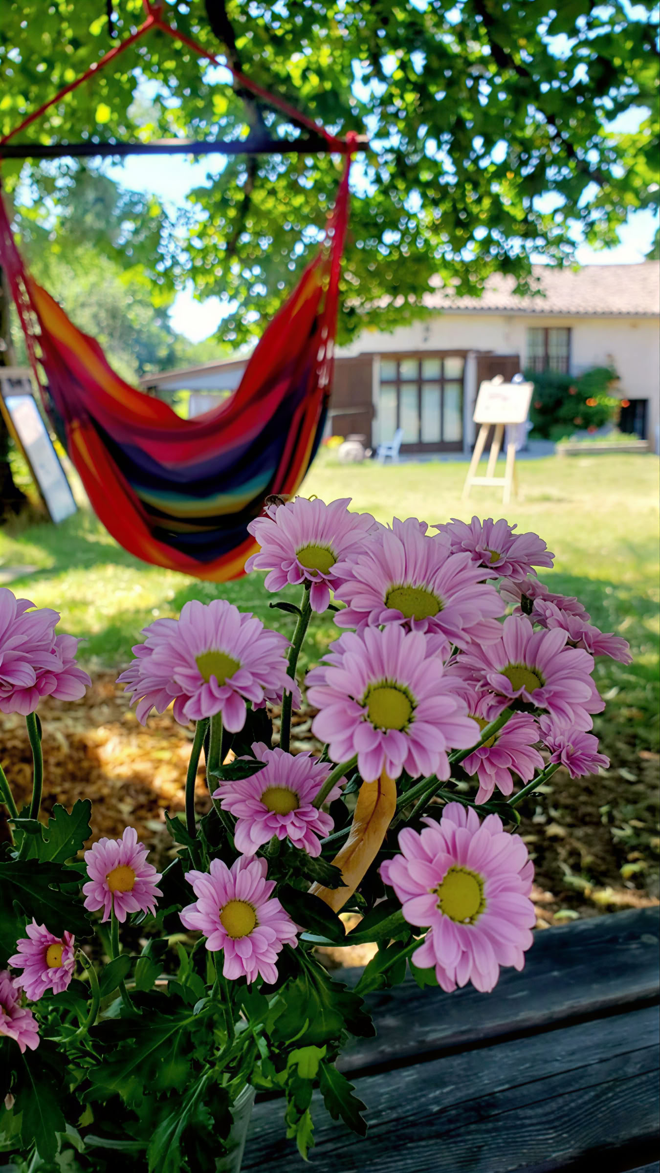 Jooga- ja meditaatioretriitti Etelä-Ranskassa