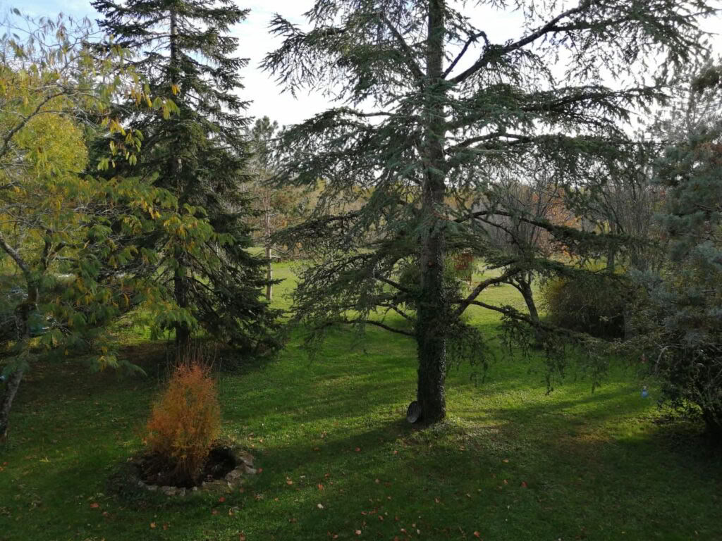 Jooga- ja meditaatioretriitti Etelä-Ranskassa
