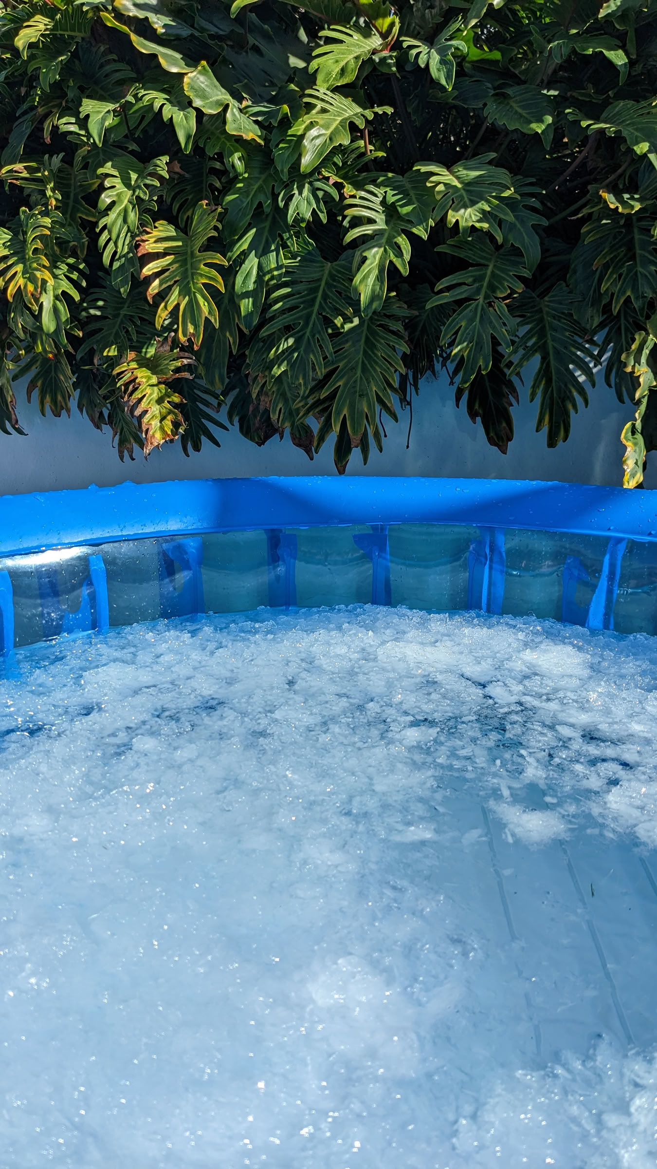 Wim Hof -menetelmä Fuerteventuralla