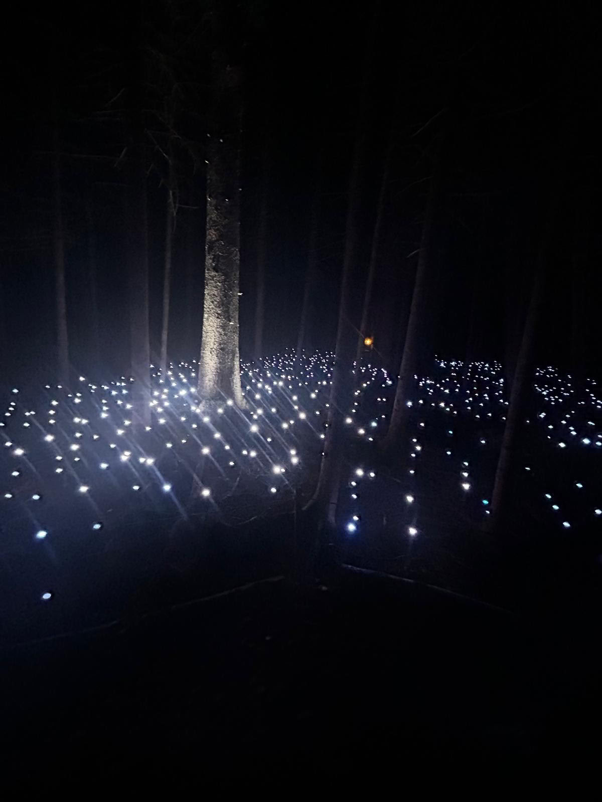 Akadi Lumina -glampingelämys