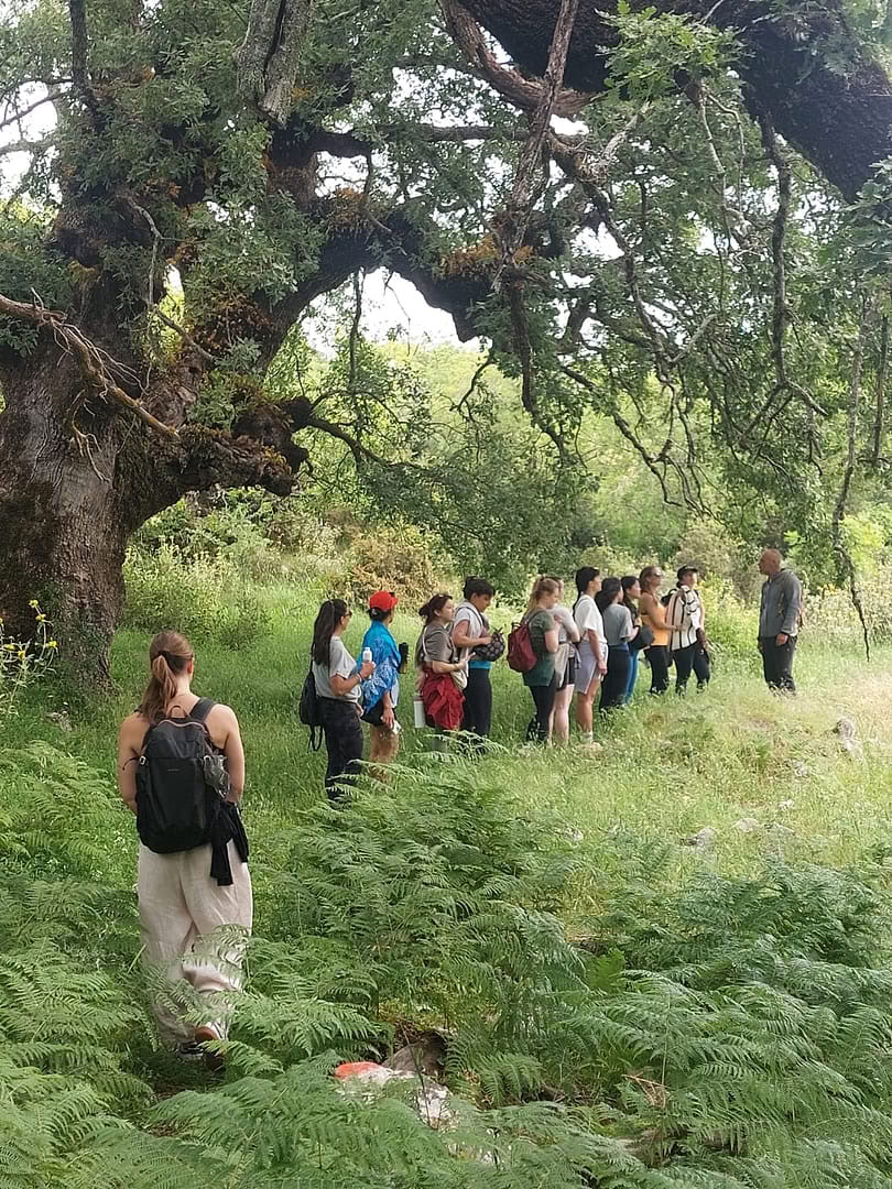 Tai Chi - Qi Gong -retriitti