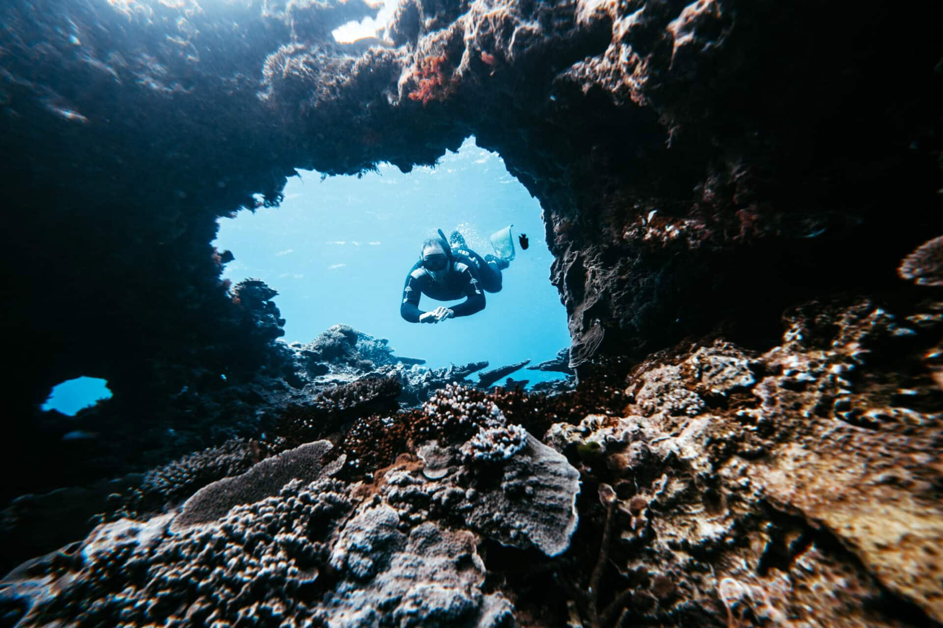 Lady Elliot Island -vapaasukellus ja vain ohjaajille suunnattu Breathless