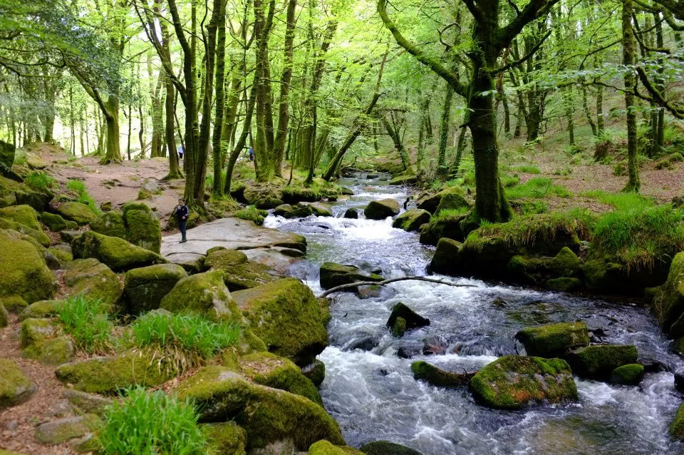 5 yön meditaatio- ja mindfulness-retriitti