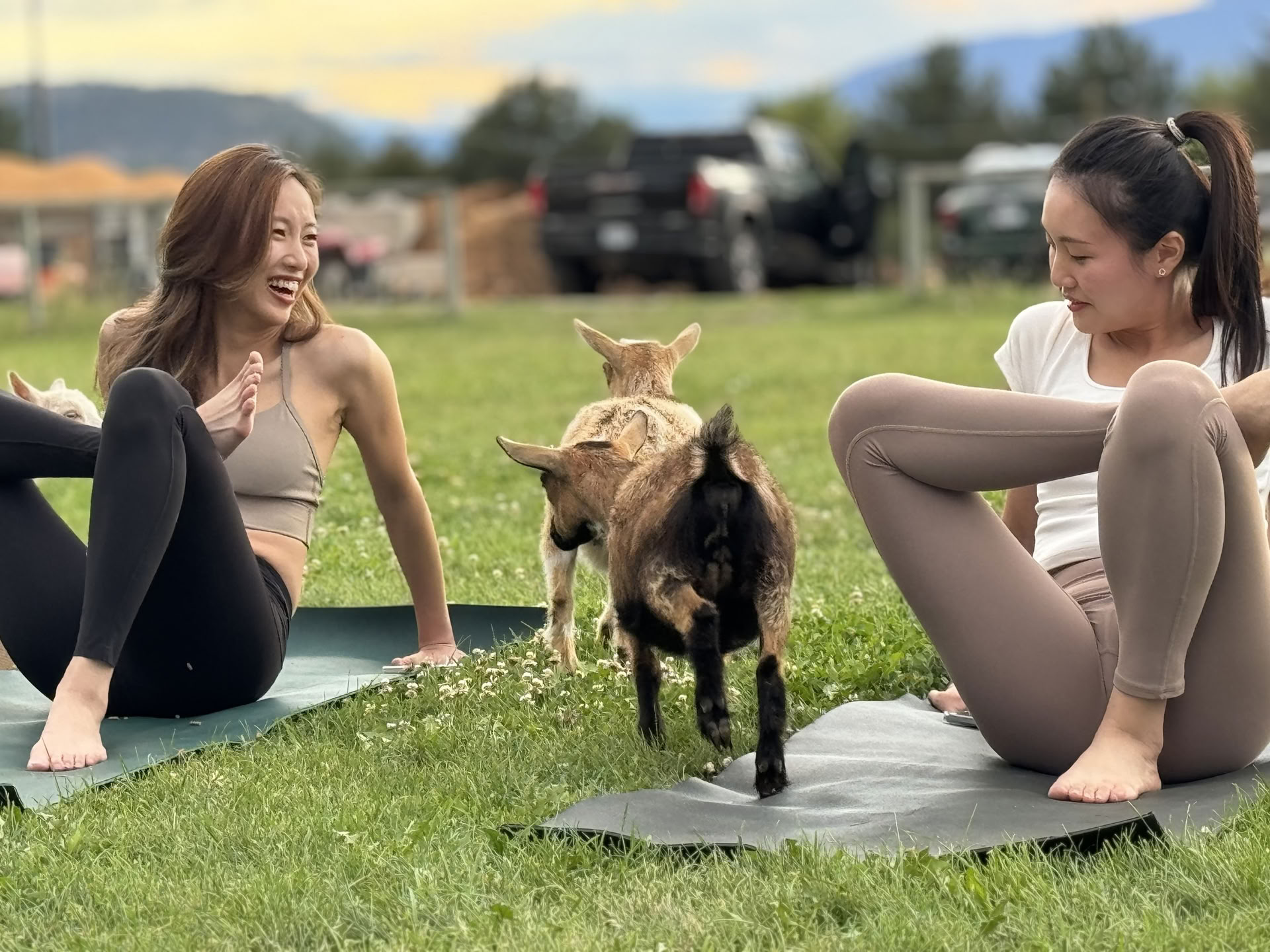 Laiturin äärellä virtaava jooga ja meditaatio Okanagan-järvellä!