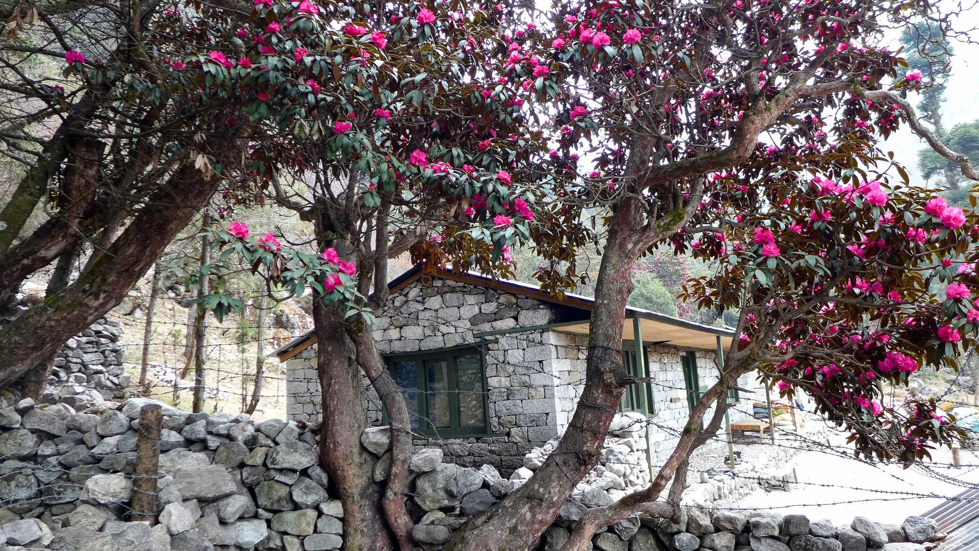 Annapurnan perusleiri