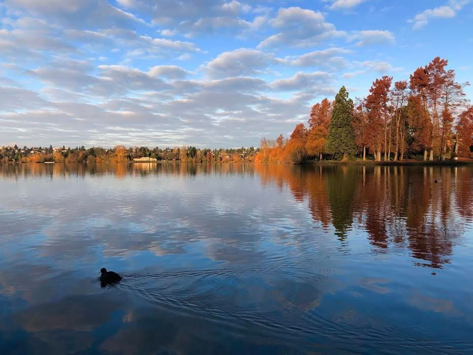Sattvinen elämänvalmennusohjelma