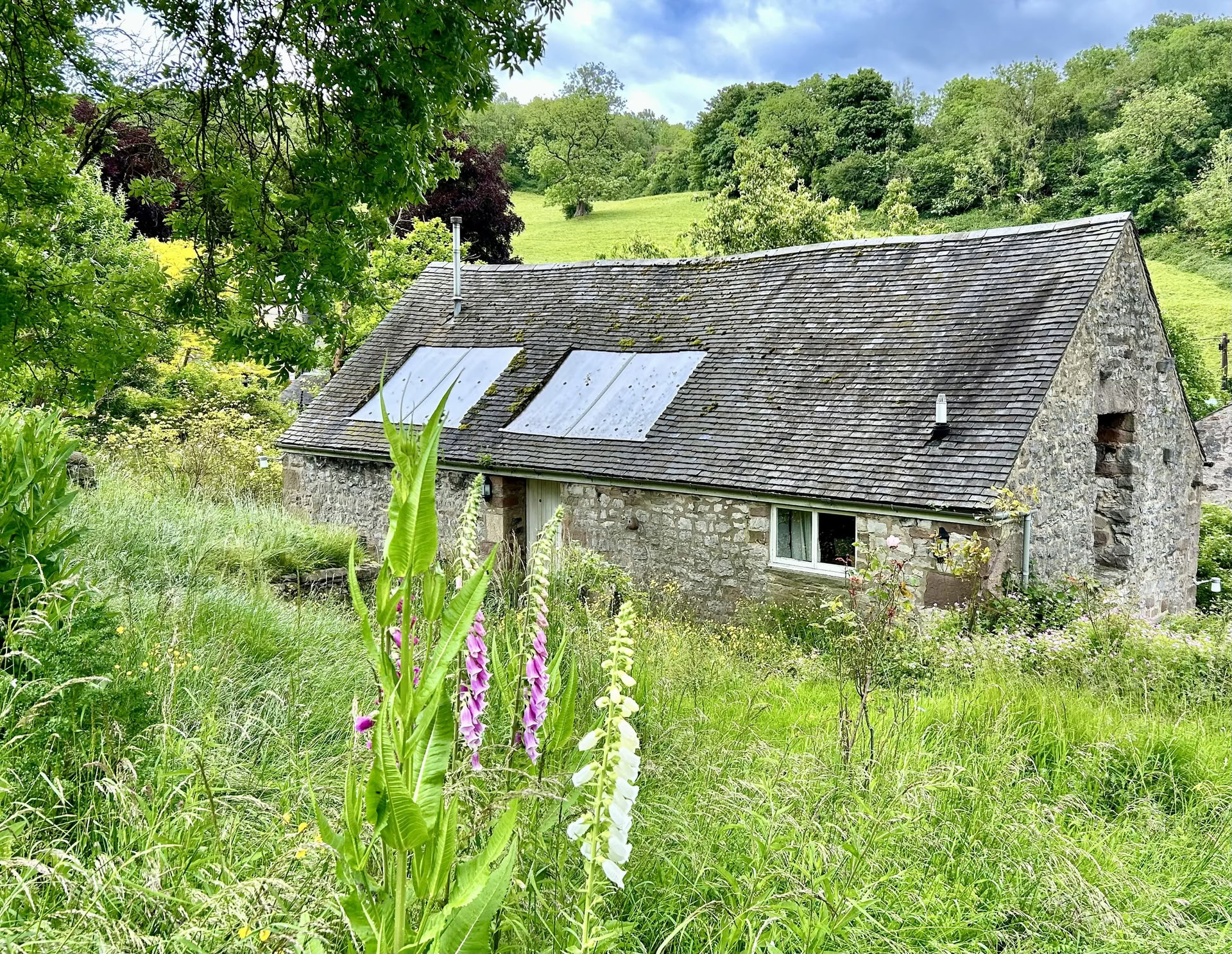 Pariskunnan irtiotto