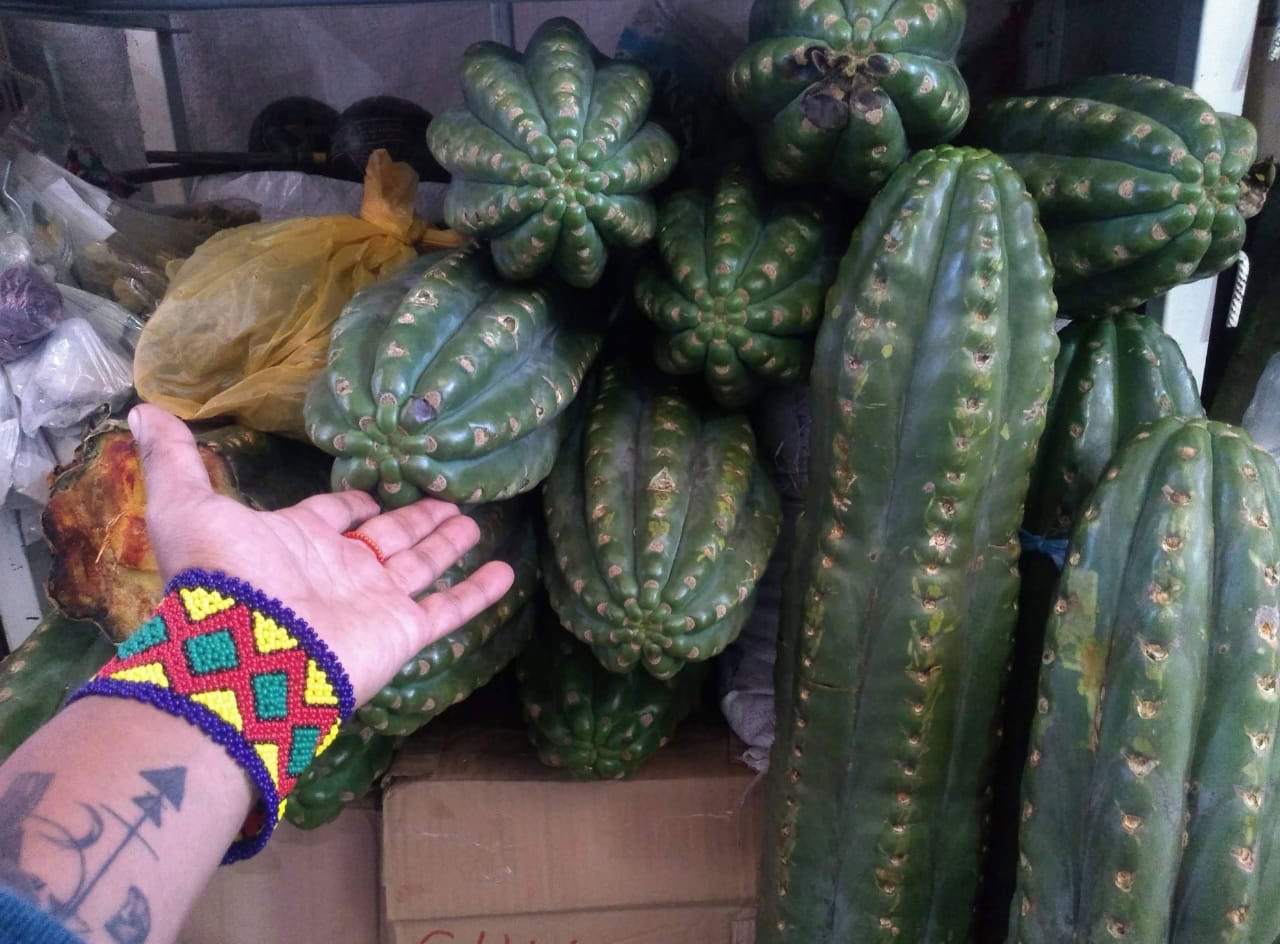 San Pedro -seremonia