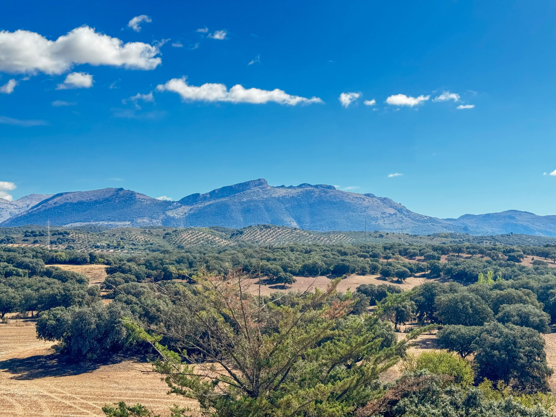 Vuokraa Finca La Lola
