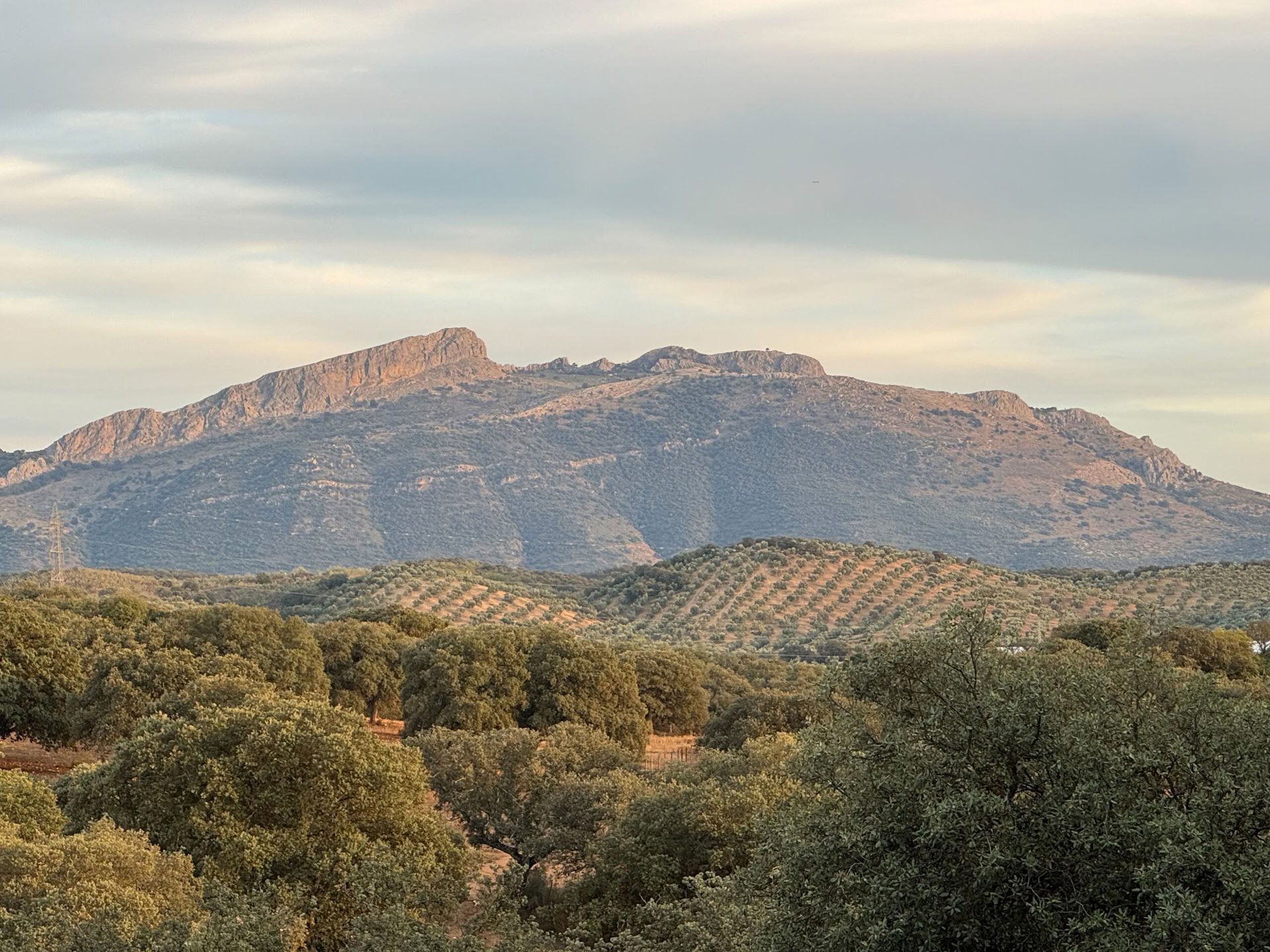 Vuokraa Finca La Lola