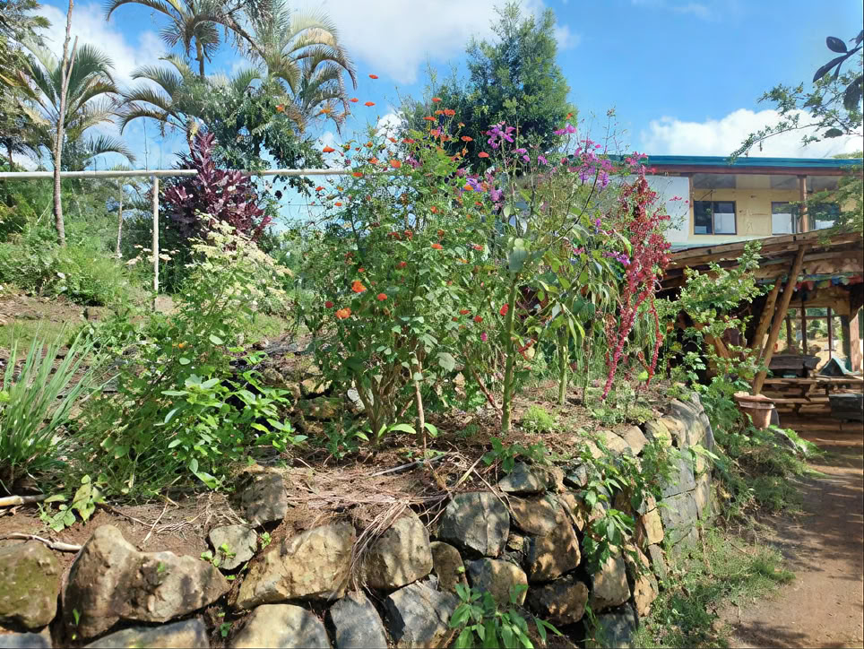 Uudistavan elämän oppisopimus
