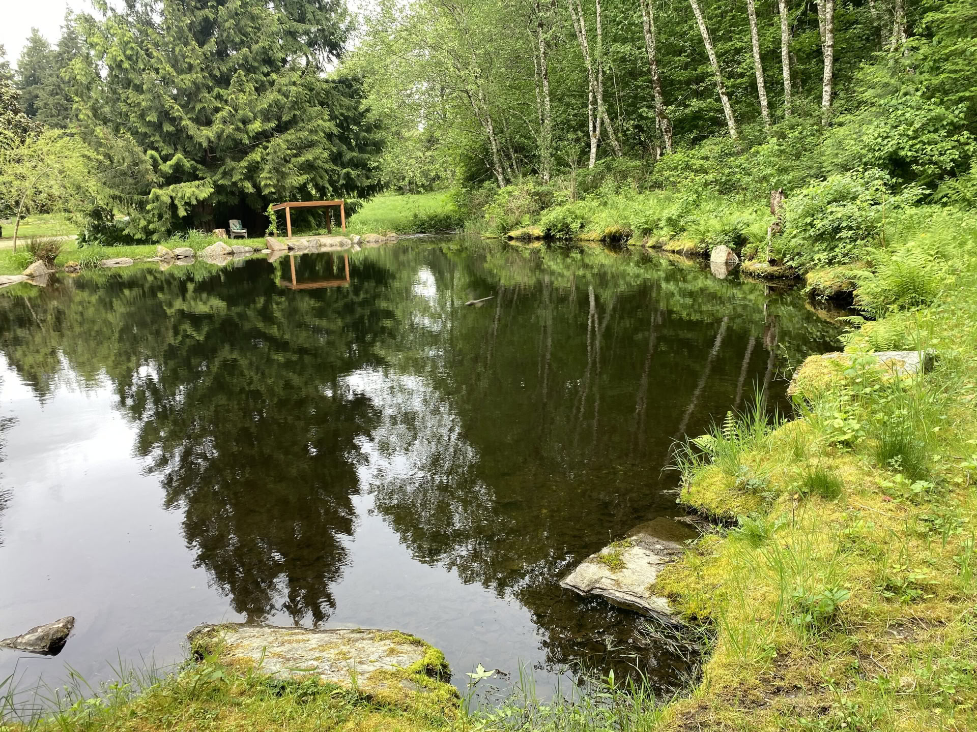 Fox Creek Fallsin jooga- ja vaellusparannusretriitti