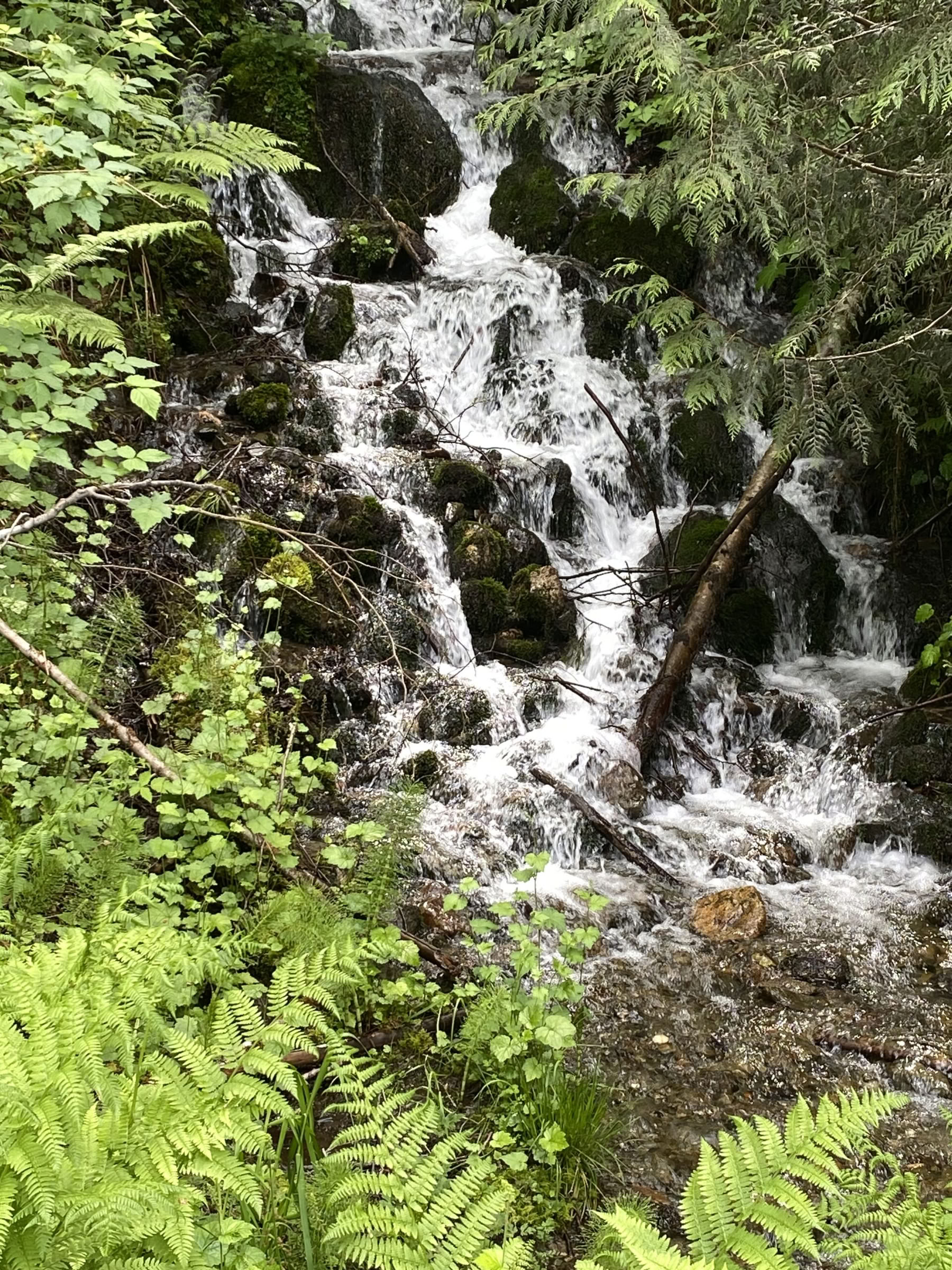Fox Creek Fallsin jooga- ja vaellusparannusretriitti