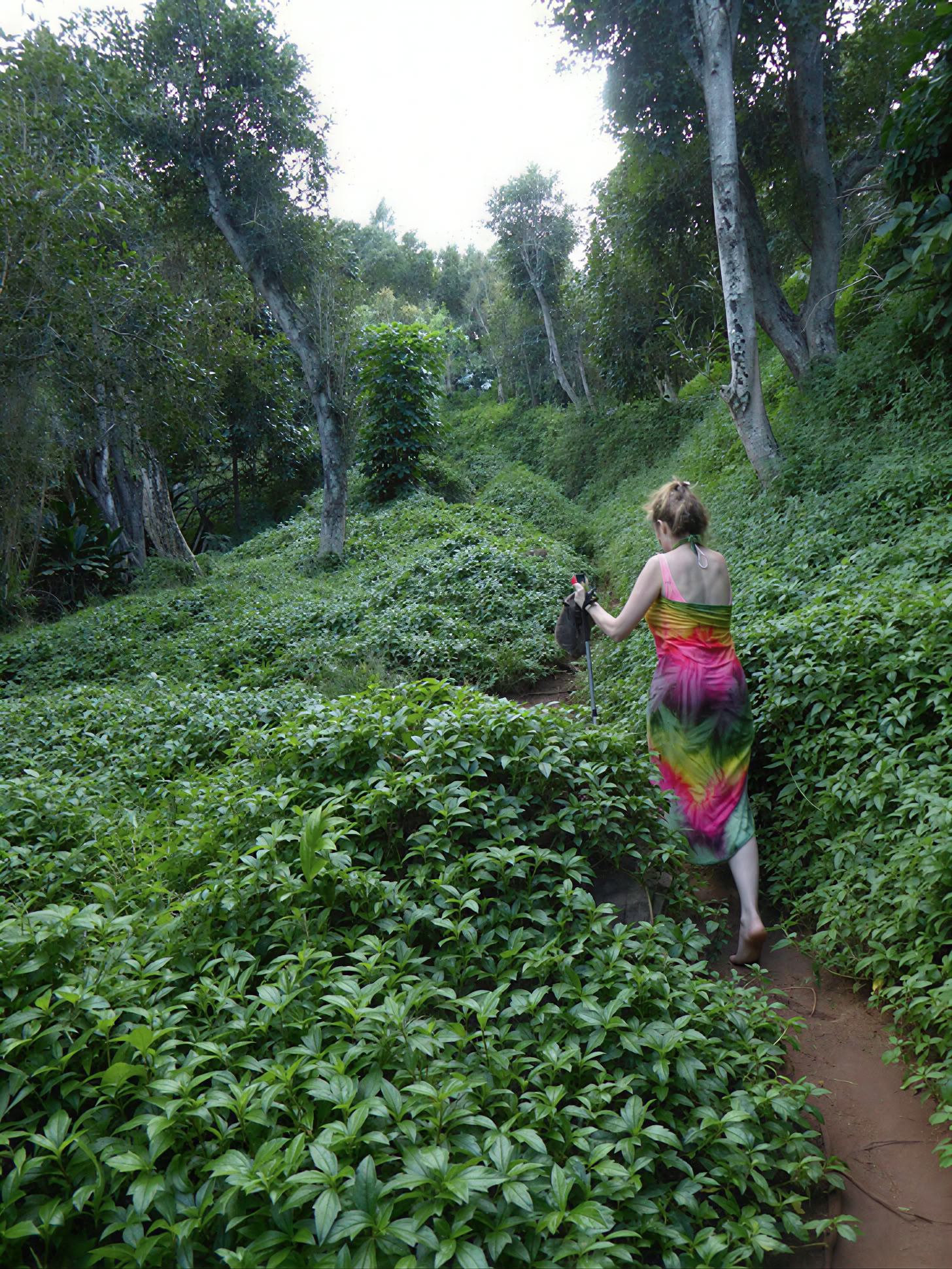Jooga-retriitti Kauailla, Havaijilla