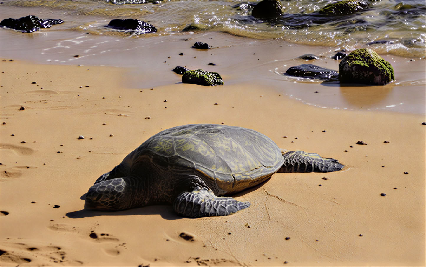 Jooga-retriitti Kauailla, Havaijilla