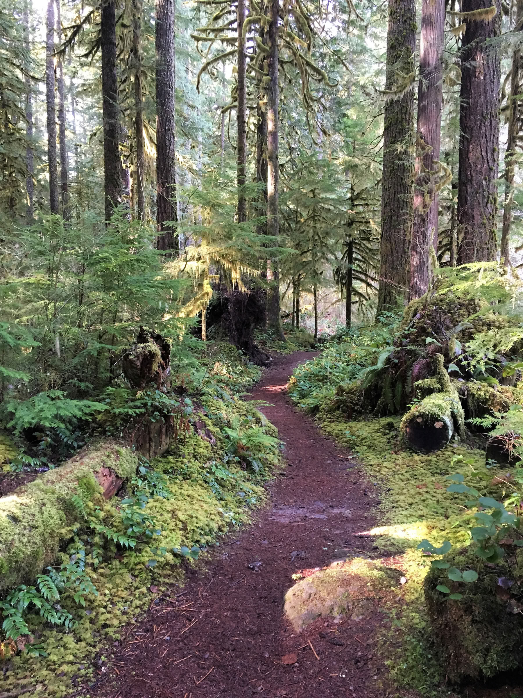 Aldermarsh: Washingtonin osavaltion jooga- ja meditaatioretriitti