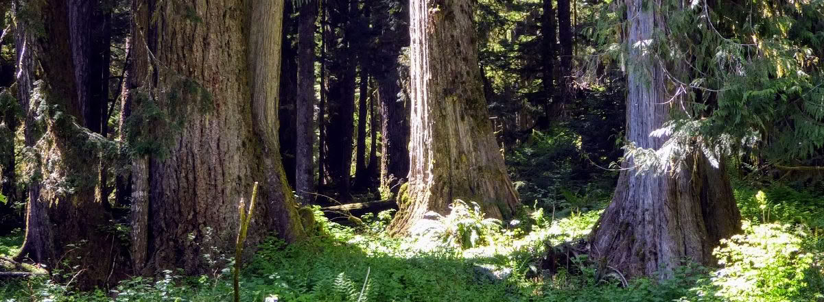 Frog Creekin, WA:n parannusretriitti