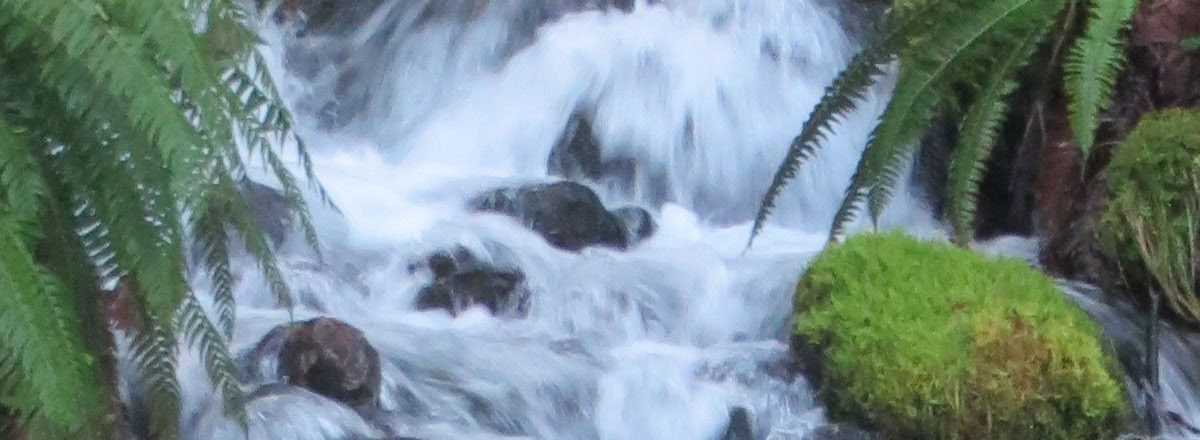 Frog Creekin, WA:n parannusretriitti