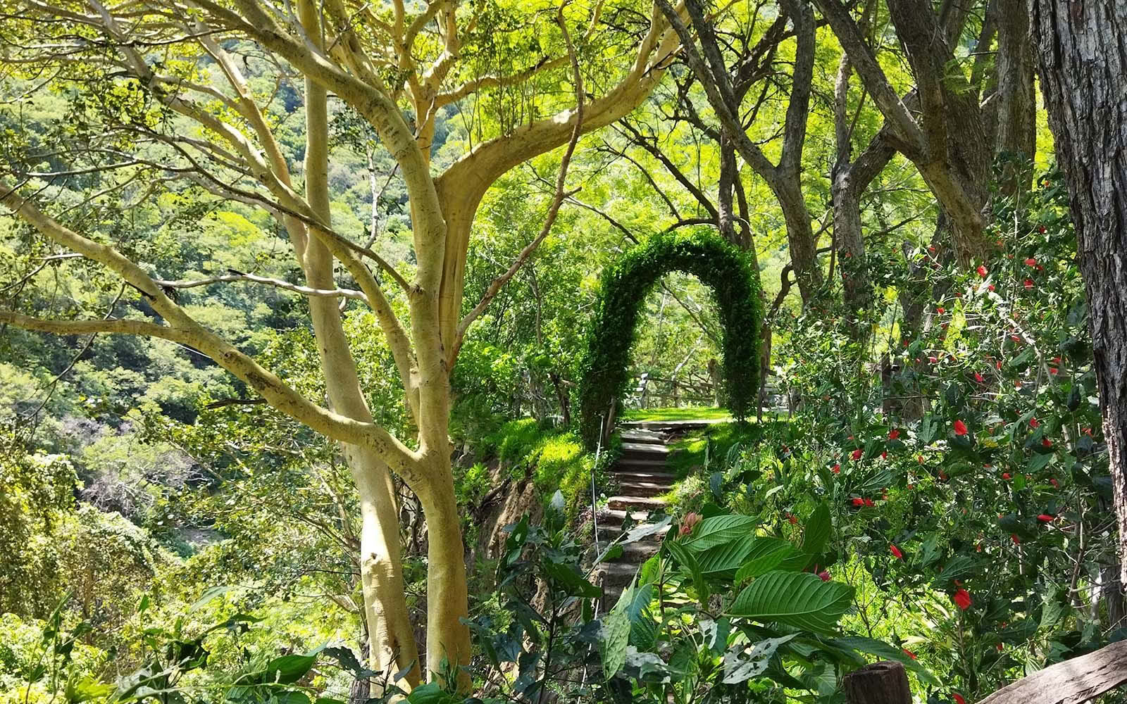Muuta Voimasi Retreat