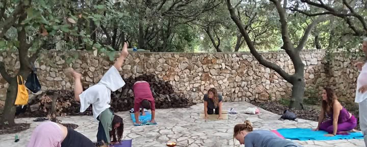 Hoidot