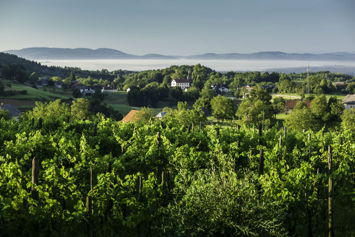 Hyvinvointiretriitti Sloveniaan