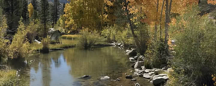 Bishop Creekin joogaloma