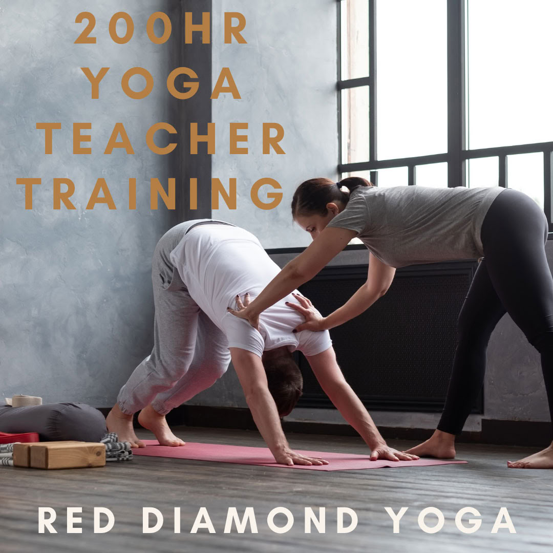 200 tunnin Vinyasa-joogaopettajakoulutus, Yoga Alliancen sertifioima