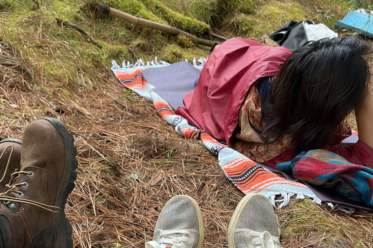 Metsäkylpykokemus (shinrin-yoku): ohjattu matka rauhaan ja hyvinvointiin