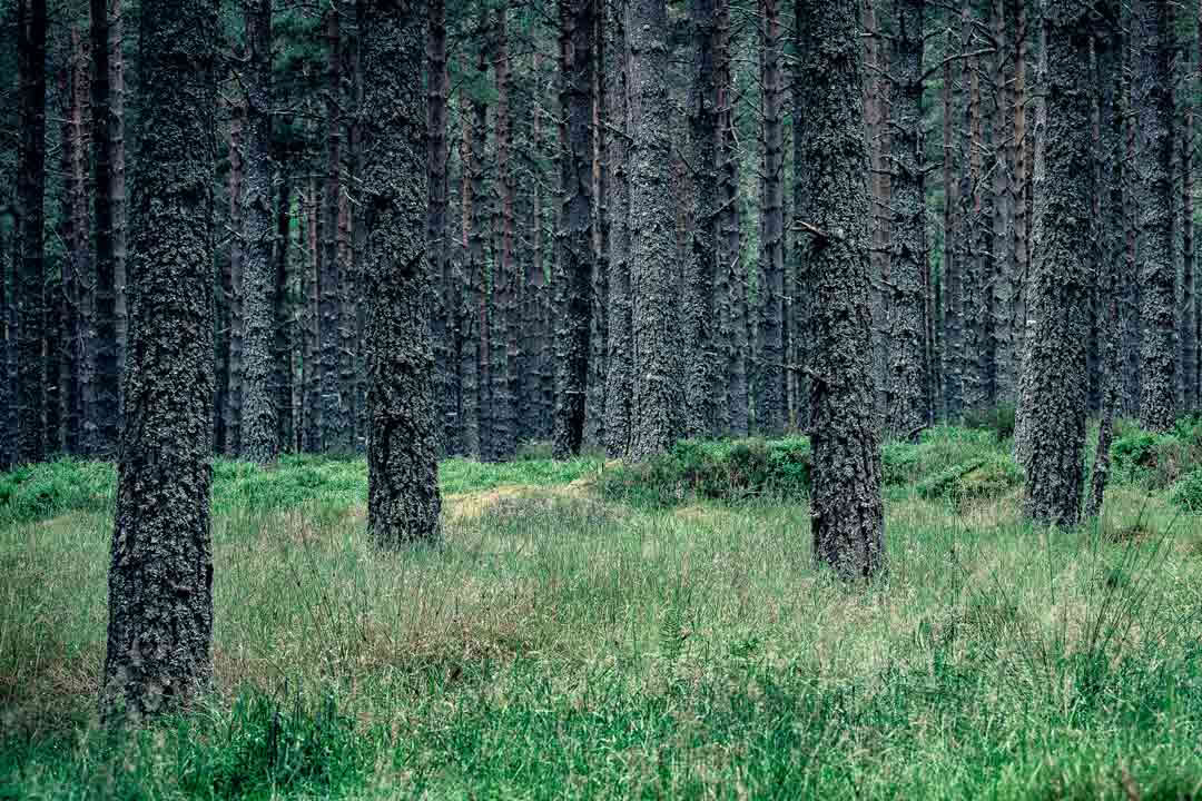 3 päivän jooga­retriitti Skotlannissa – 2.–5. lokakuuta