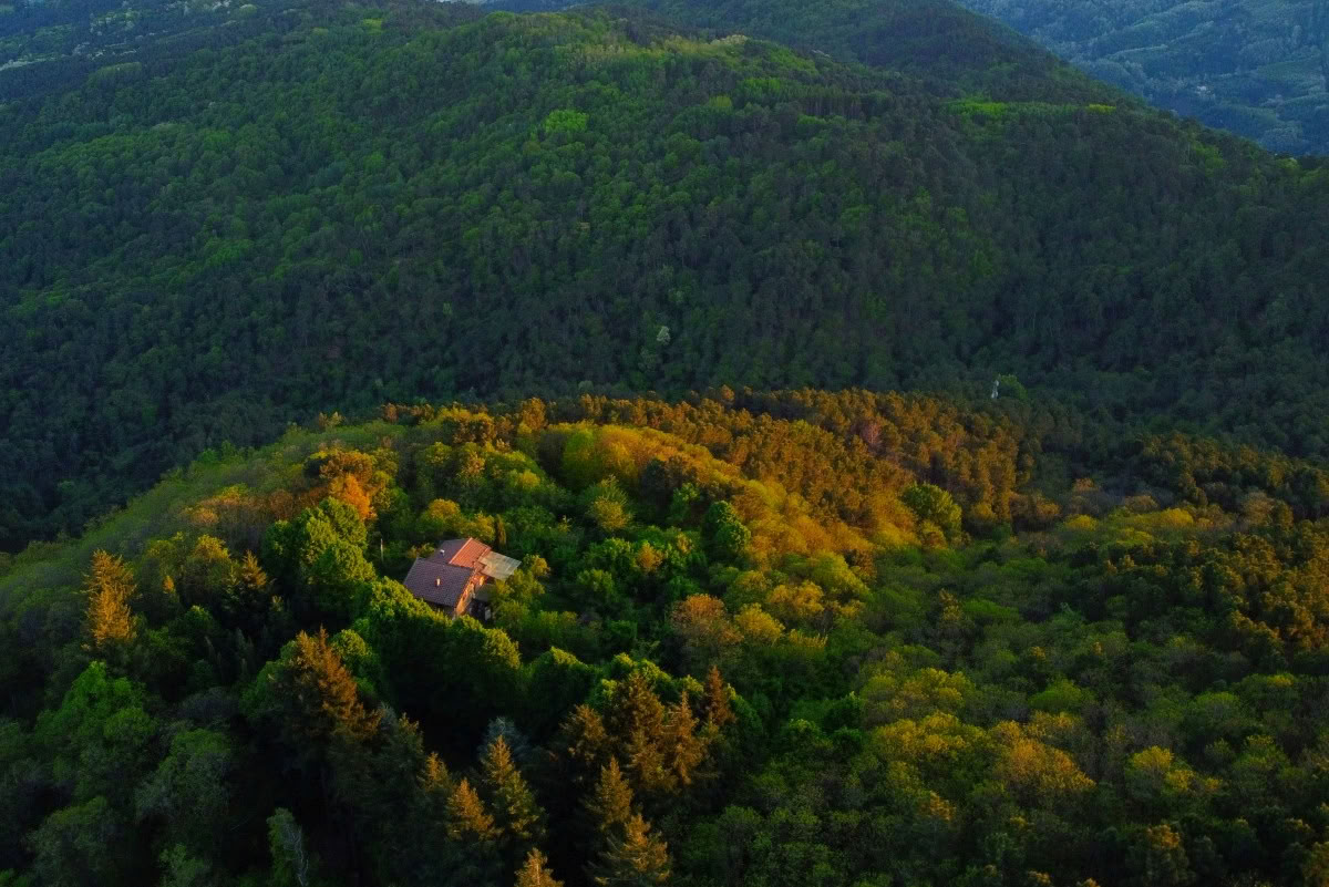 200 tunnin RYT · Toscana, Italia · Yoga Alliancen sertifioima