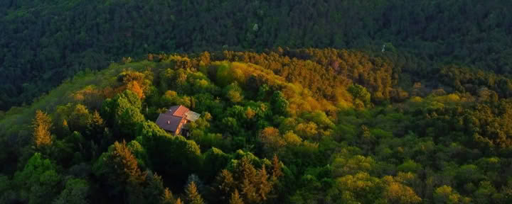 200 tunnin RYT · Toscana, Italia · Yoga Alliancen sertifioima