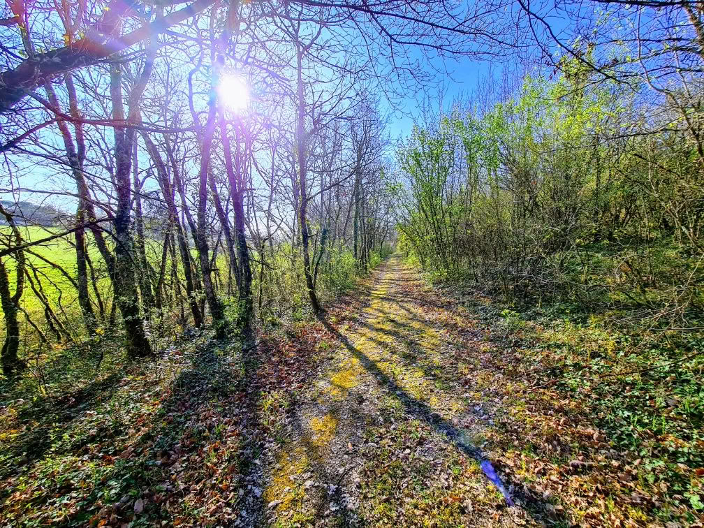 Detox, jooga ja hyvinvointi