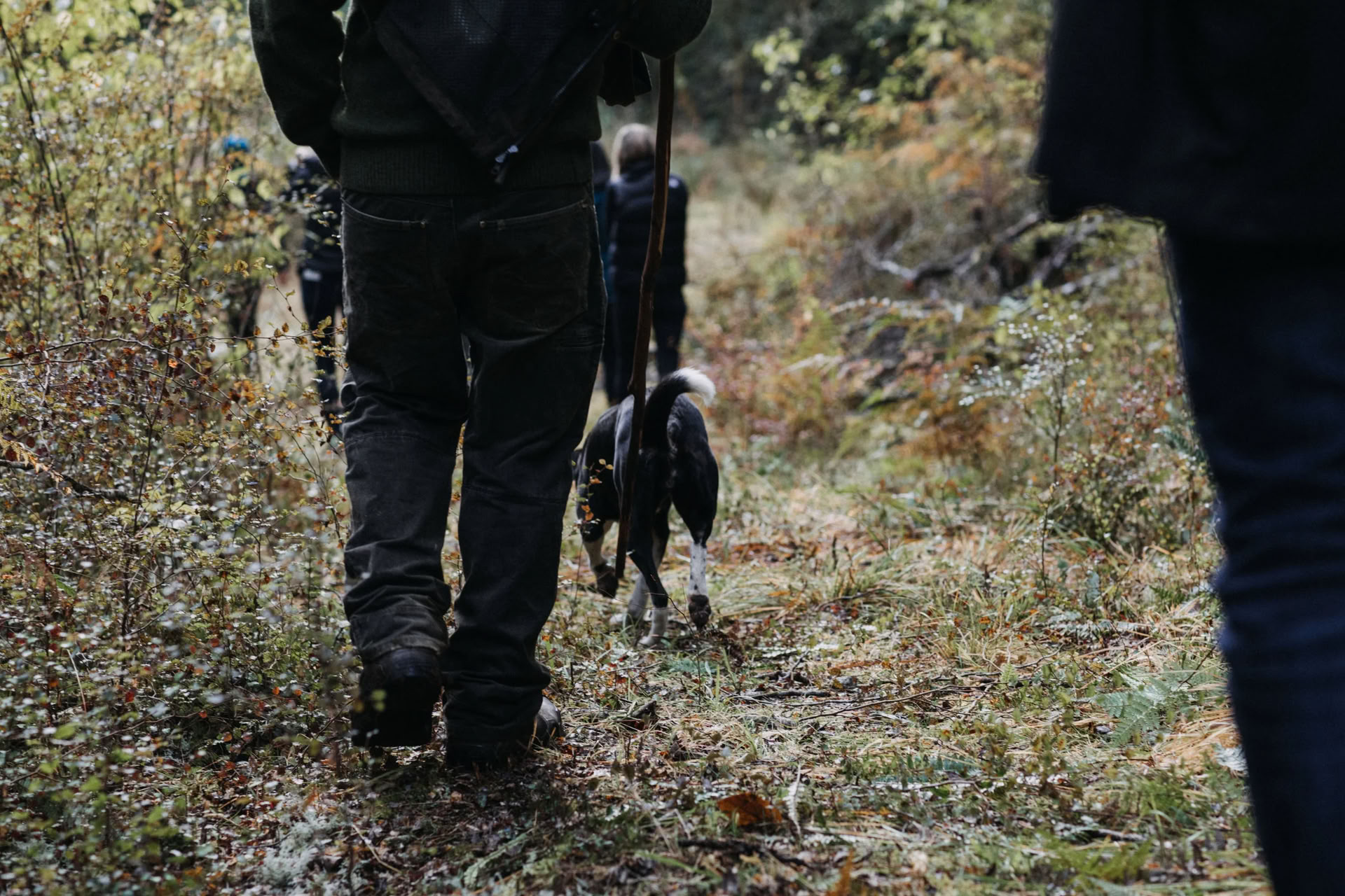 Henkilökohtaisen palautumisen retriitti